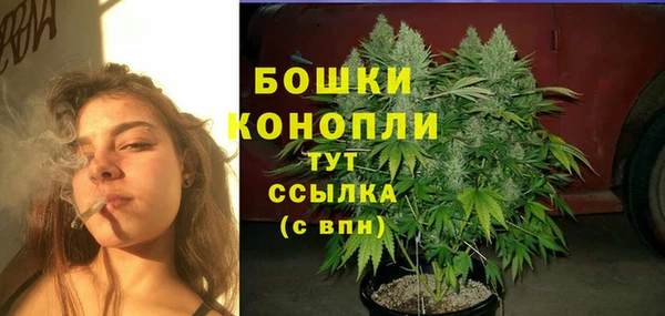 spice Абаза