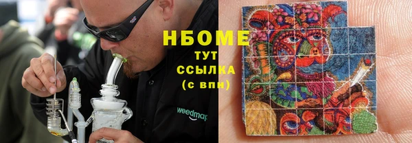 прущие грибы Алзамай
