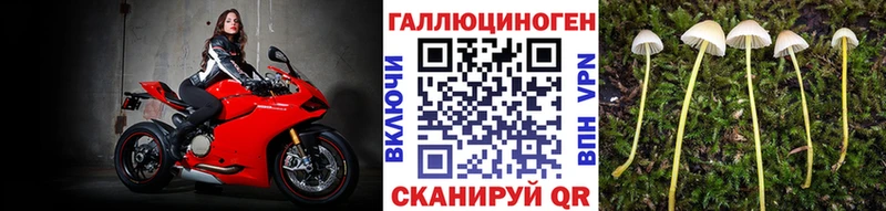 Галлюциногенные грибы GOLDEN TEACHER  Благодарный 